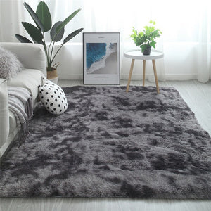 Tapis Mat area thik rugs living room