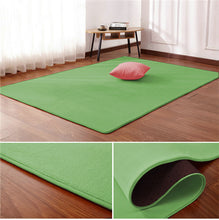 Load image into Gallery viewer, Tapis Nordique corail velours tapis salon tapis de sol chambre