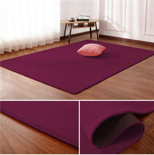 Load image into Gallery viewer, Tapis Nordique corail velours tapis salon tapis de sol chambre