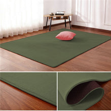 Load image into Gallery viewer, Tapis Nordique corail velours tapis salon tapis de sol chambre