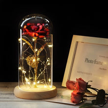 Load image into Gallery viewer, Colour Beauty And The Beast Red Rose  Gifts LED Rose