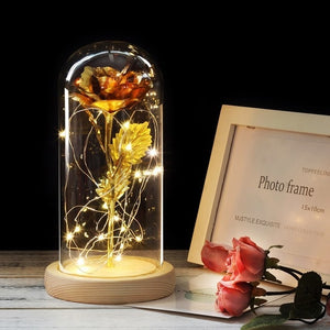 Colour Beauty And The Beast Red Rose  Gifts LED Rose