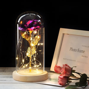 Colour Beauty And The Beast Red Rose  Gifts LED Rose