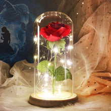 Load image into Gallery viewer, Colour Beauty And The Beast Red Rose  Gifts LED Rose