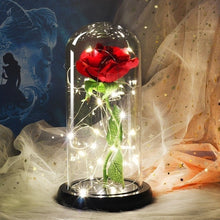 Load image into Gallery viewer, Colour Beauty And The Beast Red Rose  Gifts LED Rose